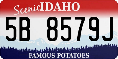 ID license plate 5B8579J