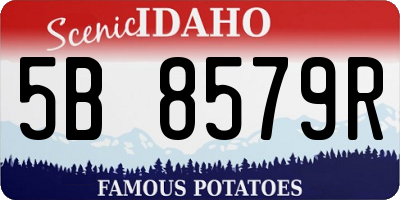 ID license plate 5B8579R