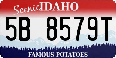 ID license plate 5B8579T
