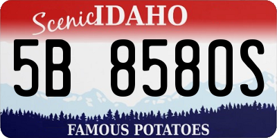 ID license plate 5B8580S