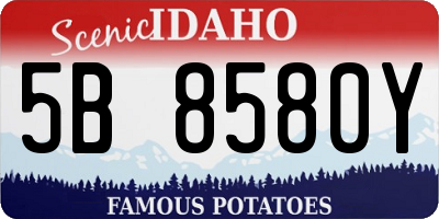 ID license plate 5B8580Y