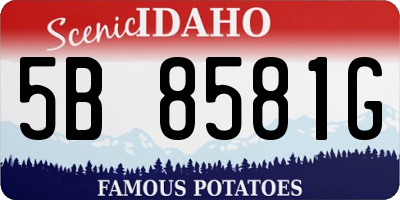 ID license plate 5B8581G