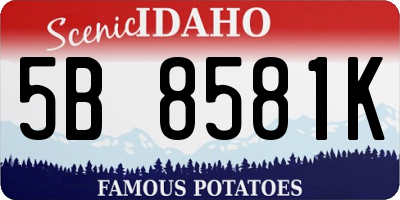 ID license plate 5B8581K