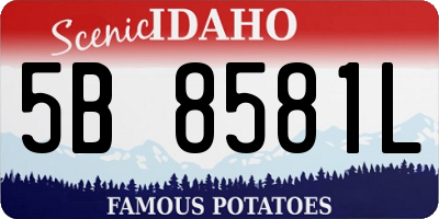 ID license plate 5B8581L