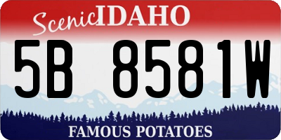 ID license plate 5B8581W