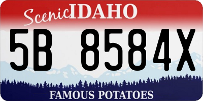ID license plate 5B8584X