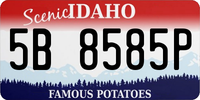 ID license plate 5B8585P