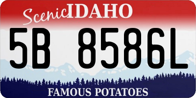ID license plate 5B8586L