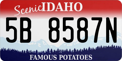 ID license plate 5B8587N