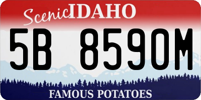 ID license plate 5B8590M