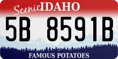 ID license plate 5B8591B