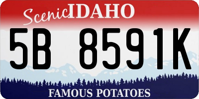 ID license plate 5B8591K