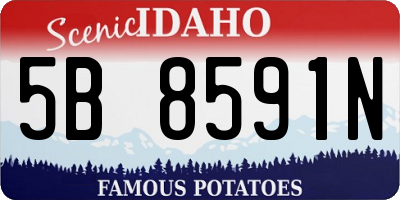 ID license plate 5B8591N