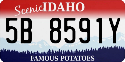 ID license plate 5B8591Y