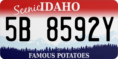 ID license plate 5B8592Y