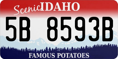 ID license plate 5B8593B