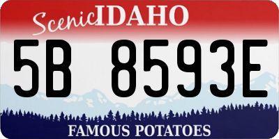 ID license plate 5B8593E