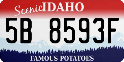 ID license plate 5B8593F