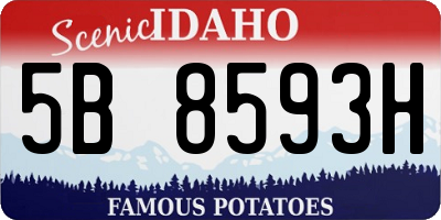 ID license plate 5B8593H