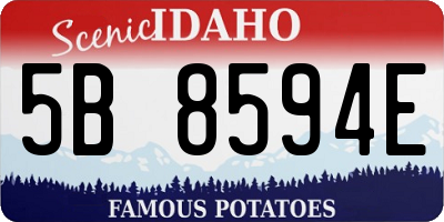 ID license plate 5B8594E