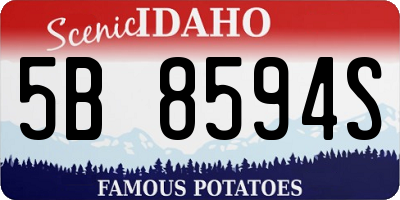 ID license plate 5B8594S