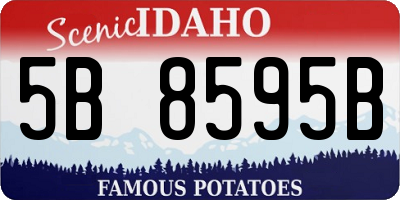 ID license plate 5B8595B
