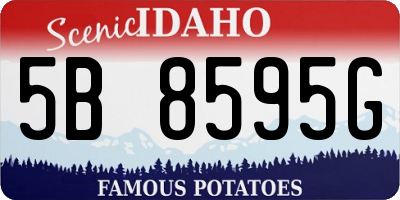 ID license plate 5B8595G