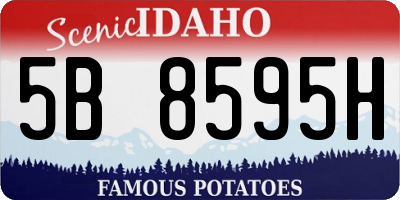 ID license plate 5B8595H