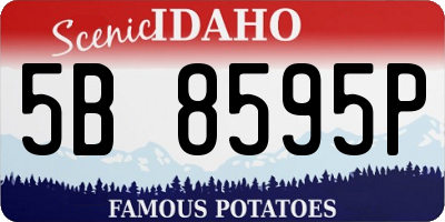 ID license plate 5B8595P