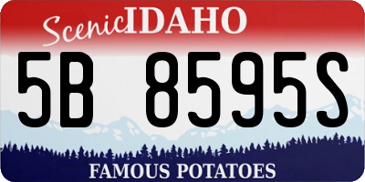 ID license plate 5B8595S