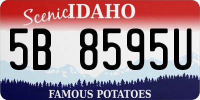 ID license plate 5B8595U