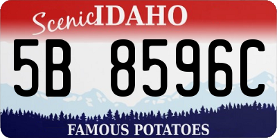 ID license plate 5B8596C