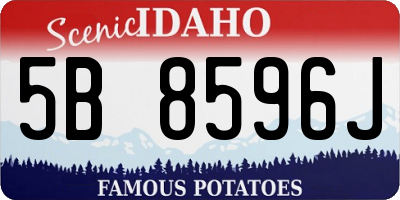 ID license plate 5B8596J