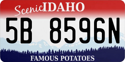 ID license plate 5B8596N