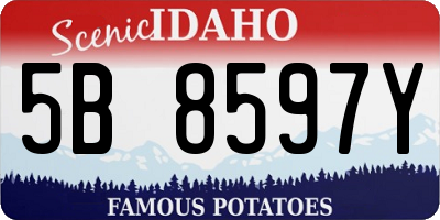 ID license plate 5B8597Y
