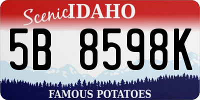 ID license plate 5B8598K