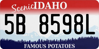 ID license plate 5B8598L