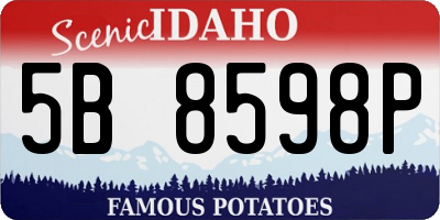 ID license plate 5B8598P