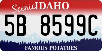 ID license plate 5B8599C