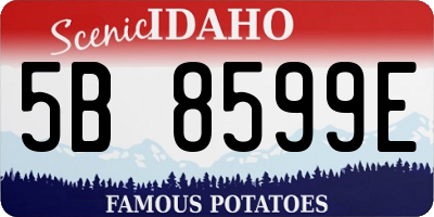 ID license plate 5B8599E
