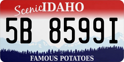 ID license plate 5B8599I