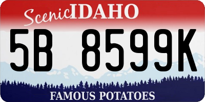 ID license plate 5B8599K
