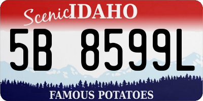 ID license plate 5B8599L
