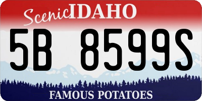 ID license plate 5B8599S