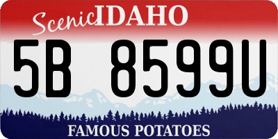 ID license plate 5B8599U
