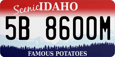 ID license plate 5B8600M
