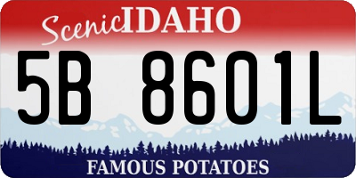 ID license plate 5B8601L