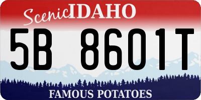 ID license plate 5B8601T