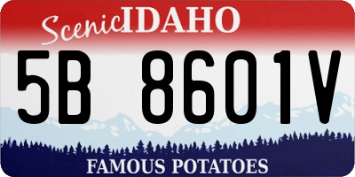 ID license plate 5B8601V