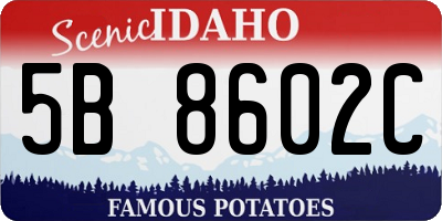 ID license plate 5B8602C